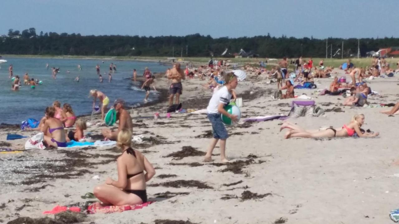 Gaestehus Stillinge Strand מראה חיצוני תמונה